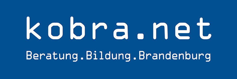 kobra.net Wortmarke weiß auf blau