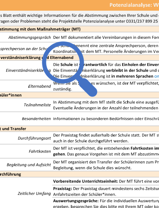 Das Coverbild der Publikation zeigt Schüler*innen und Lehrkräfte in euphorischer Haltung vor einem Schulgebäude. Dazu der Titel „Praxisleitfaden zur Potenzialanalyse“.